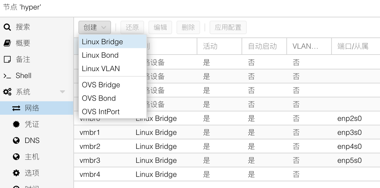 创建物理接口网桥